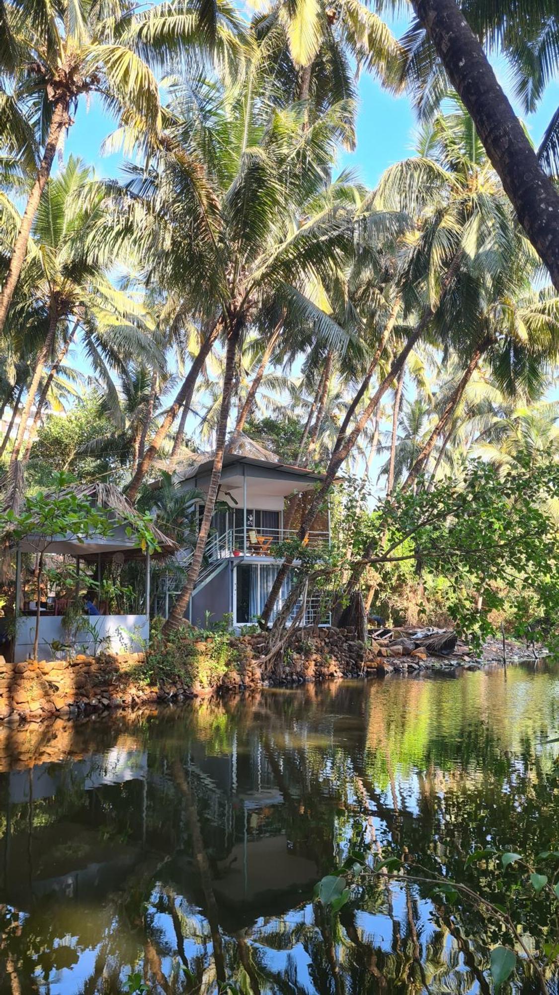 Palm Trees Ayurvedic Heritage Patnem Beach Luaran gambar